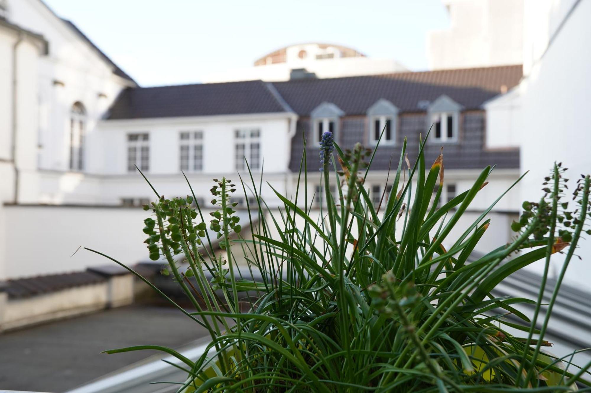Bright, Spacious Apartment With A Lovely Terrace In The Heart Of Aachen Luaran gambar